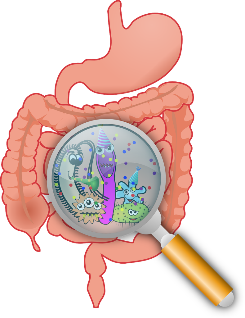 Kuriózní experimenty: Tajemný mikrobiom