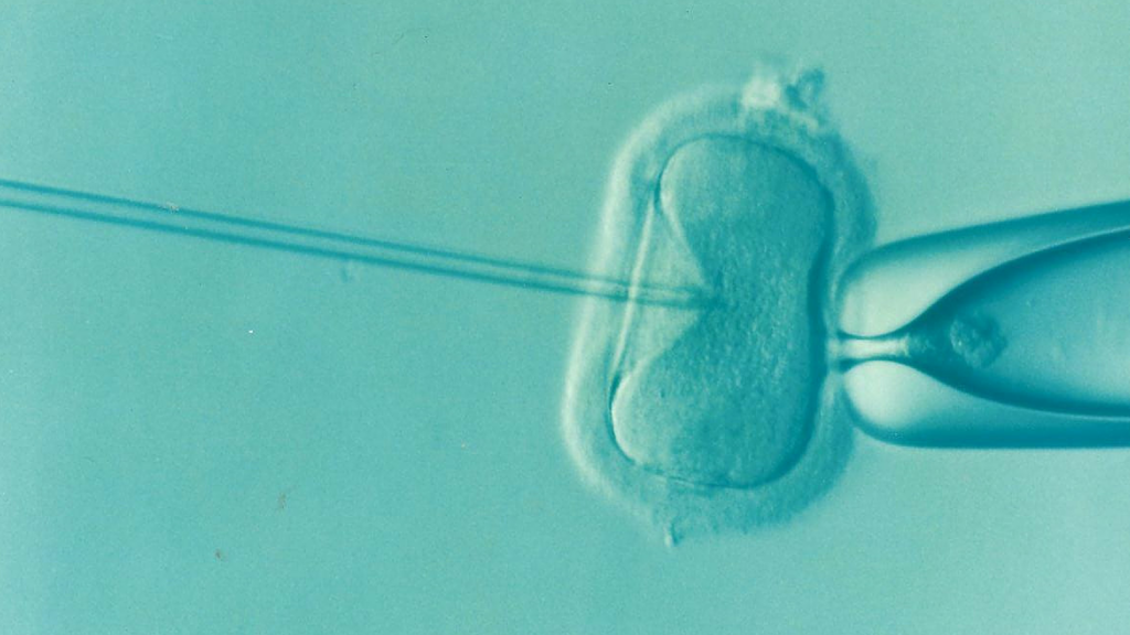 Kuriózní experimenty: Zrození prvních geneticky modifikovaných lidí